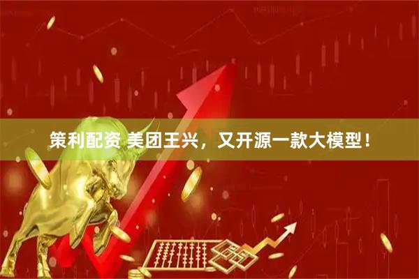 策利配资 美团王兴，又开源一款大模型！