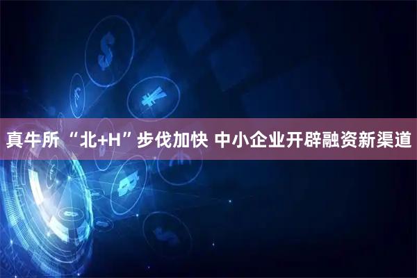 真牛所 “北+H”步伐加快 中小企业开辟融资新渠道