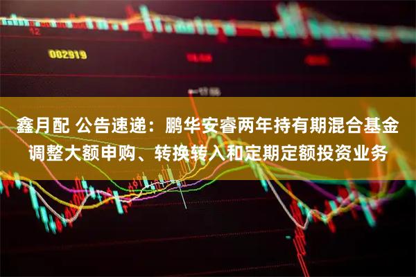 鑫月配 公告速递：鹏华安睿两年持有期混合基金调整大额申购、转换转入和定期定额投资业务