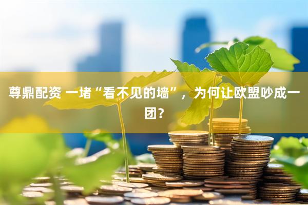 尊鼎配资 一堵“看不见的墙”，为何让欧盟吵成一团？