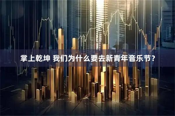 掌上乾坤 我们为什么要去新青年音乐节？