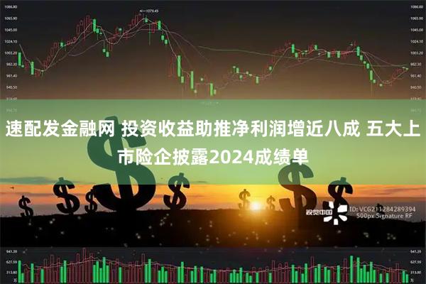 速配发金融网 投资收益助推净利润增近八成 五大上市险企披露2024成绩单