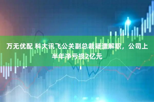 万无优配 科大讯飞公关副总裁疑遭解职，公司上半年净亏损2亿元